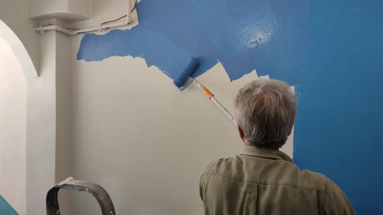 Best Fire-Damaged Drywall Repair  in Nibley, UT